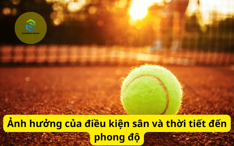 Ảnh hưởng của điều kiện sân và thời tiết đến phong độ