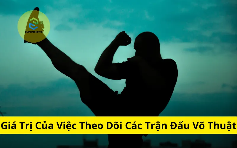 Giá Trị Của Việc Theo Dõi Các Trận Đấu Võ Thuật