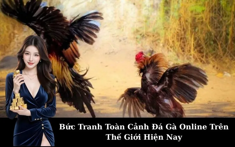 Bức Tranh Toàn Cảnh Đá Gà Online Trên Thế Giới Hiện Nay