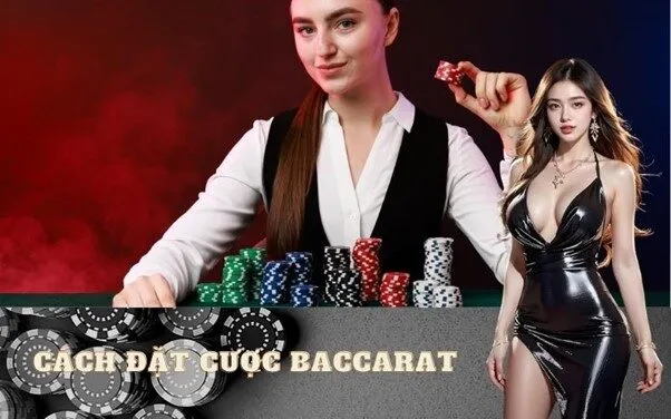 Cách đặt cược Baccarat