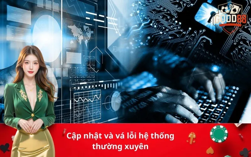 Cập nhật và vá lỗi hệ thống thường xuyên
