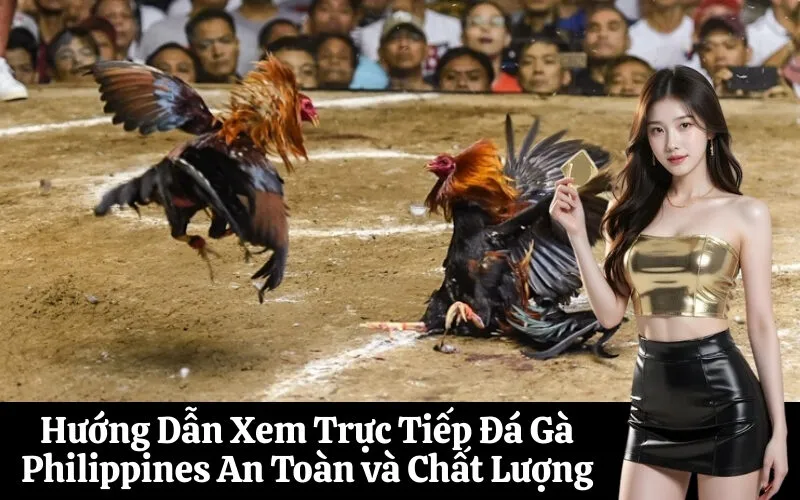 Hướng Dẫn Xem Trực Tiếp Đá Gà Philippines An Toàn và Chất Lượng