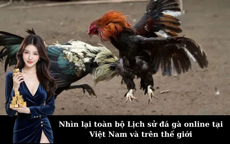 Nhìn lại toàn bộ Lịch sử đá gà online tại Việt Nam và trên thế giới