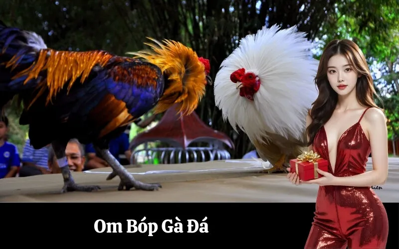 Om Bóp Gà Đá