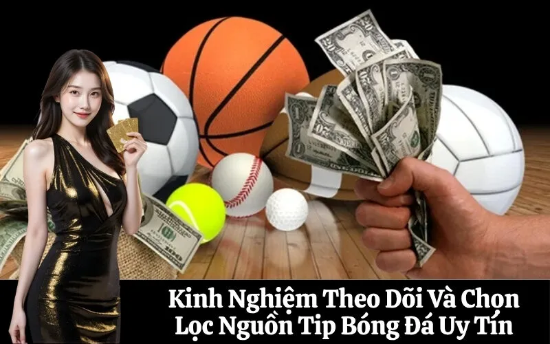 Kinh Nghiệm Theo Dõi Và Chọn Lọc Nguồn Tip Bóng Đá Uy Tín