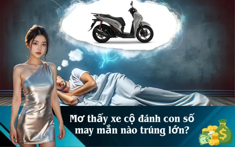Mơ thấy xe cộ đánh con số may mắn nào trúng lớn