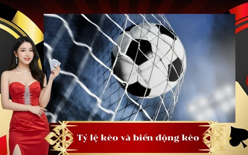 Tỷ lệ kèo và biến động kèo